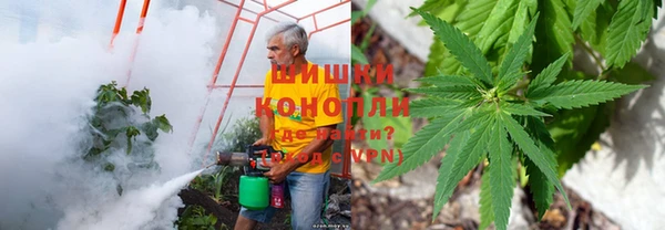 спиды Осинники