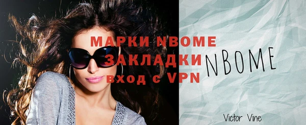 индика Бородино