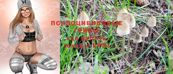 mdpv Остров