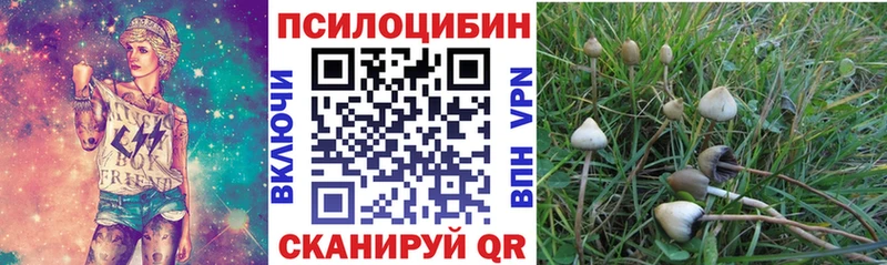 Купить  Кукмор  Галлюциногенные грибы ЛСД 